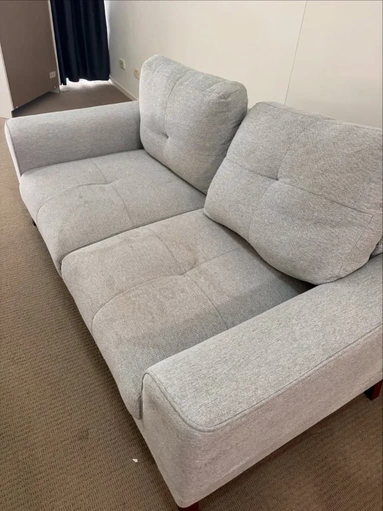 Before couch cleaning