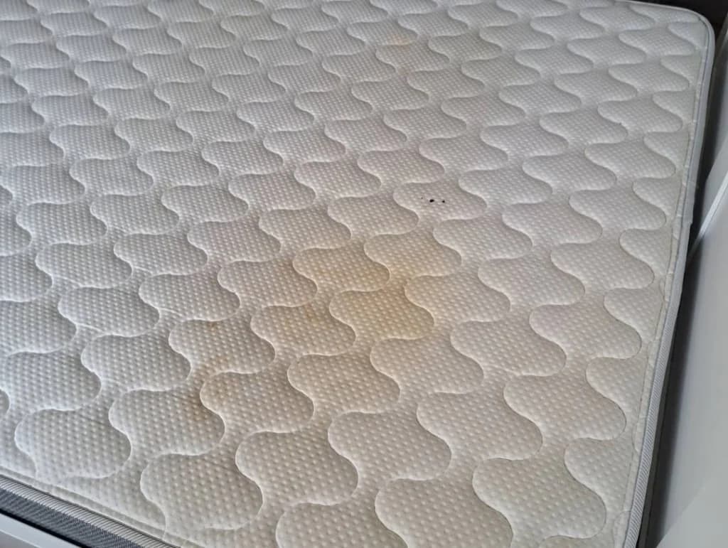 Before mattress cleaning