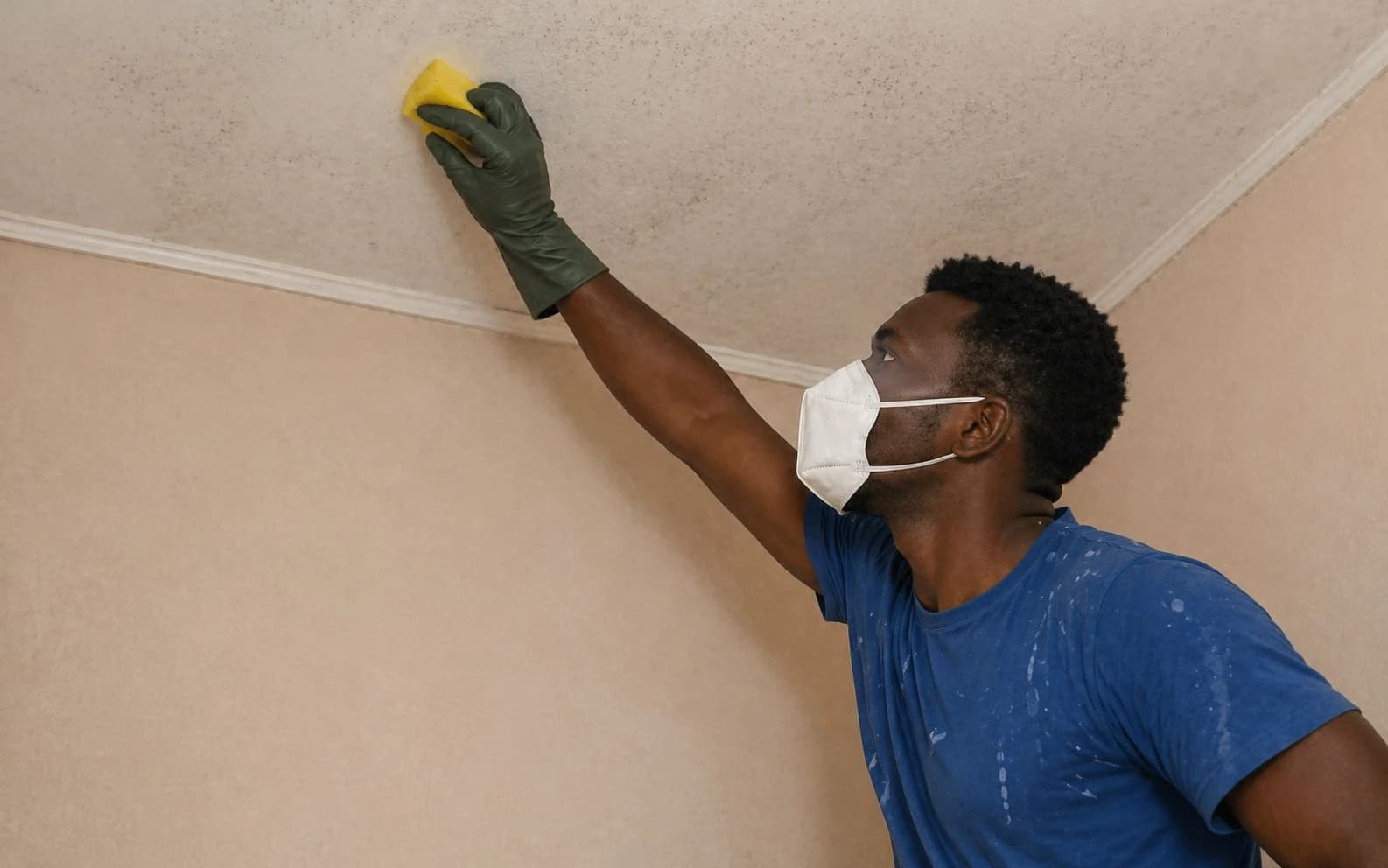 Mold cleaning technician at work