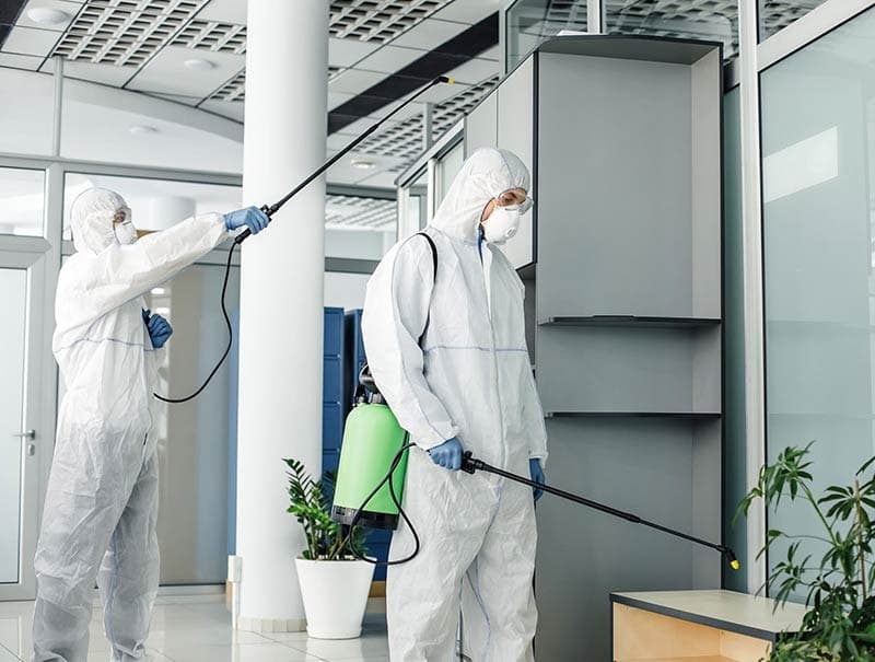 Technicians in protective gear treating mold on site