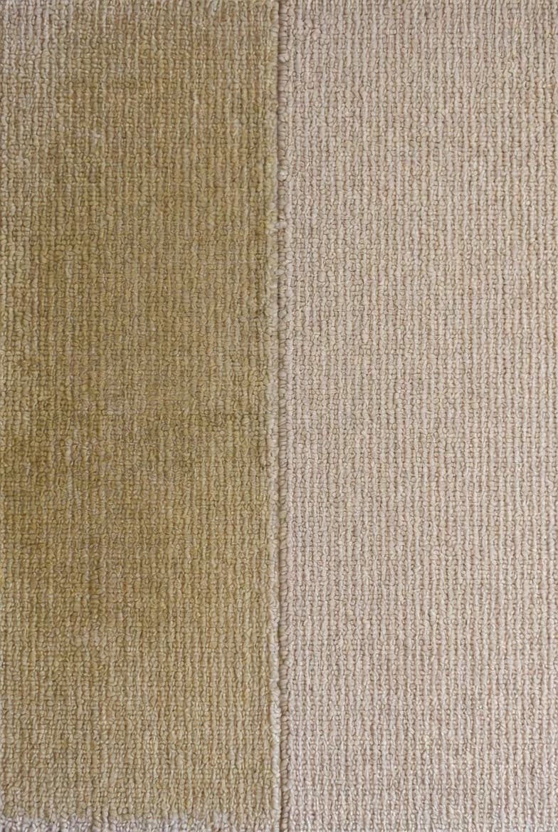Carpet cleaning service showcase