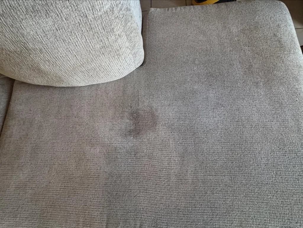 Before sofa cleaning