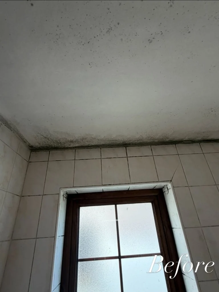 Bathroom ceiling and tiled walls with visible mold before treatment.